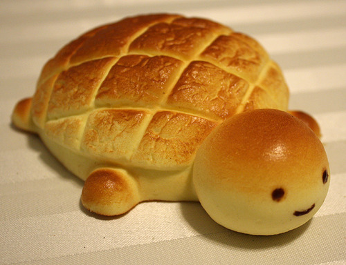 želví chleba